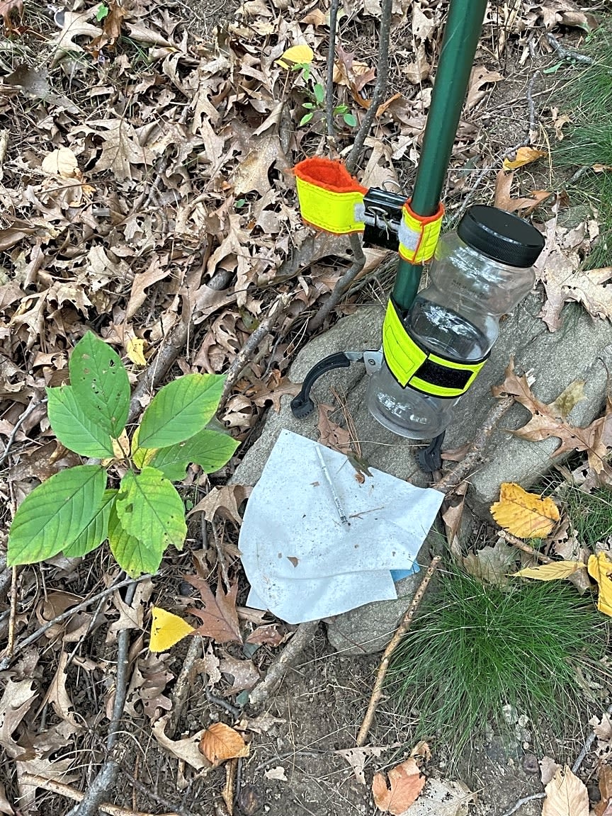 Image submitted with report