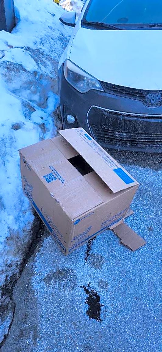 Image submitted with report