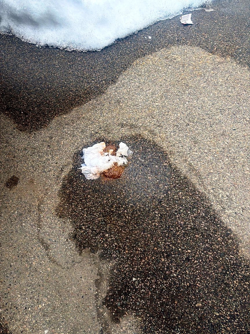 Image submitted with report