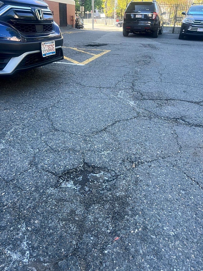 Image submitted with report