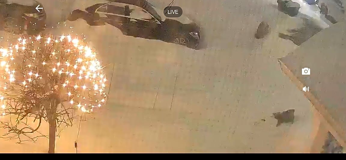 Image submitted with report