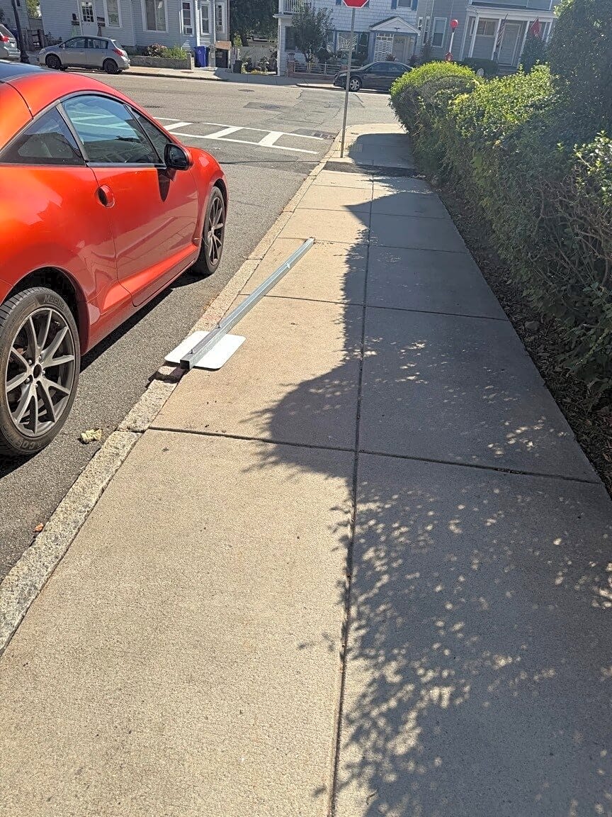 Image submitted with report