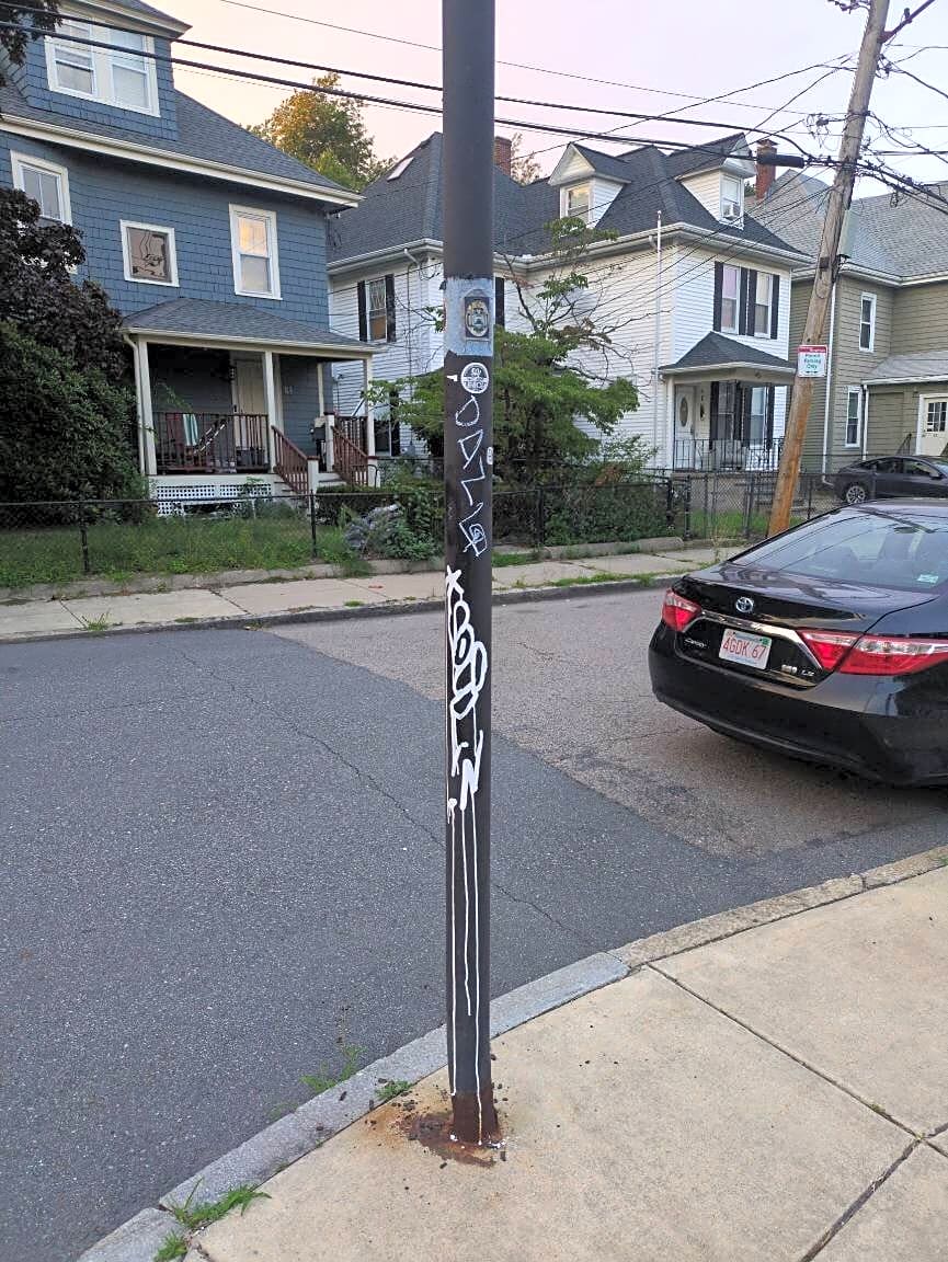 Image submitted with report