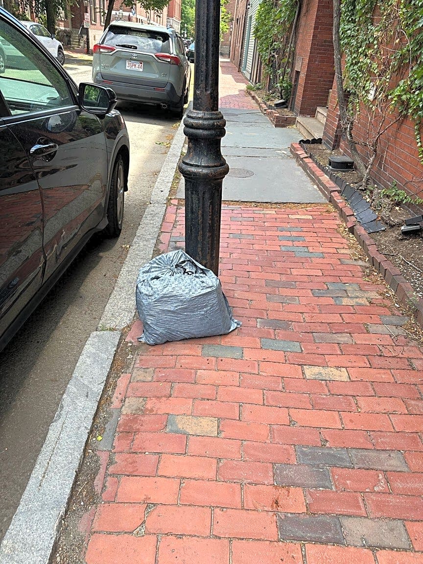 Image submitted with report