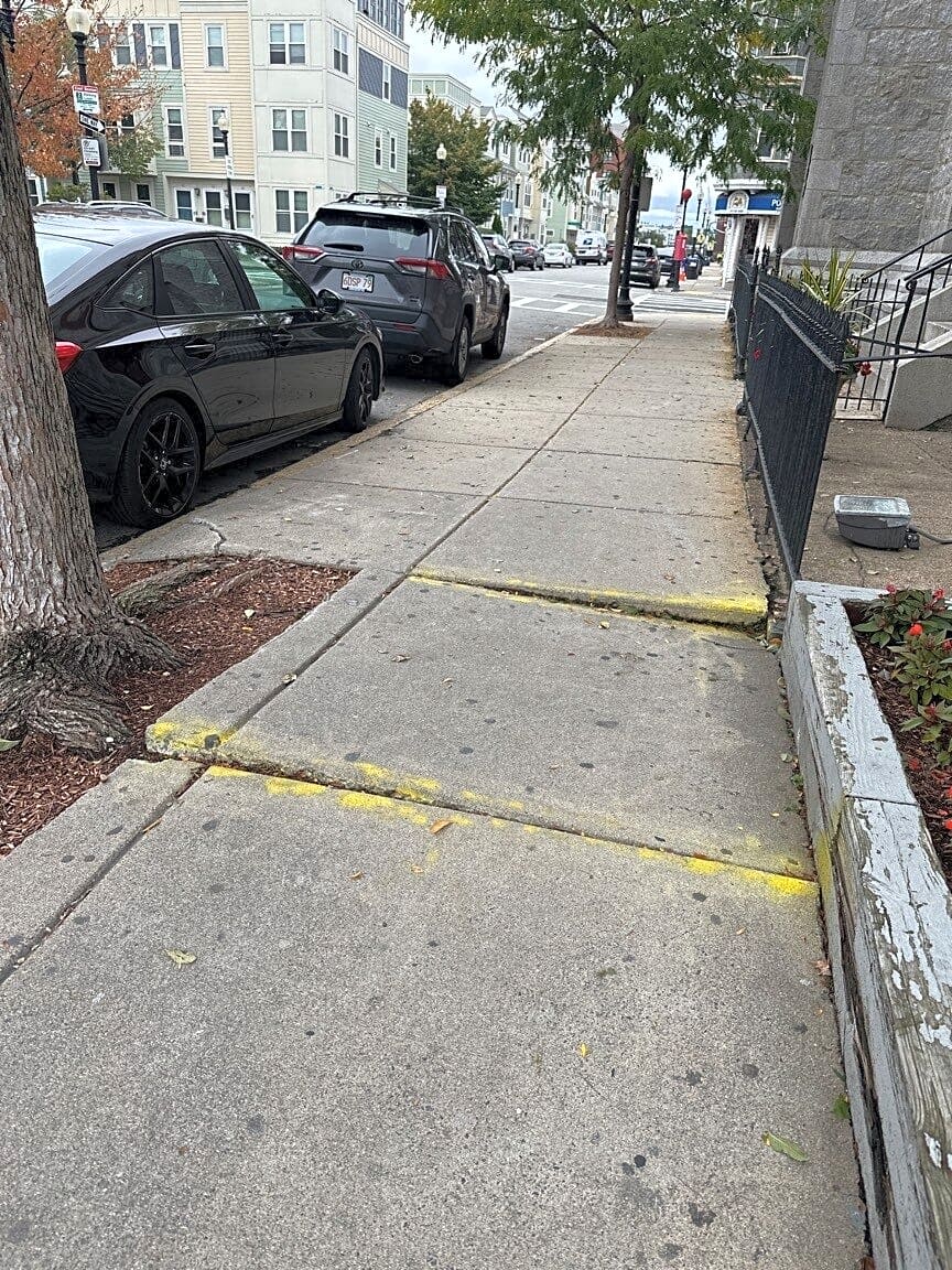 Image submitted with report