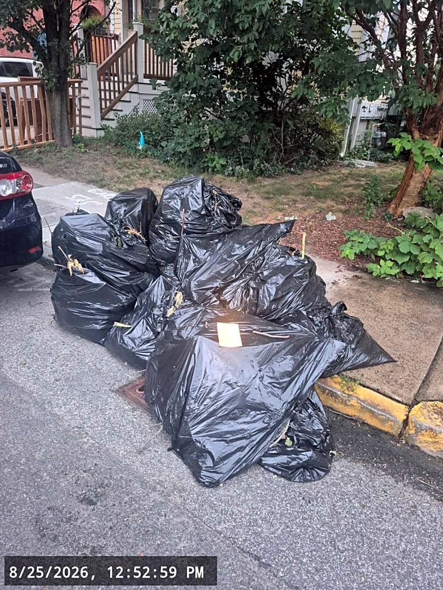 Image submitted with report