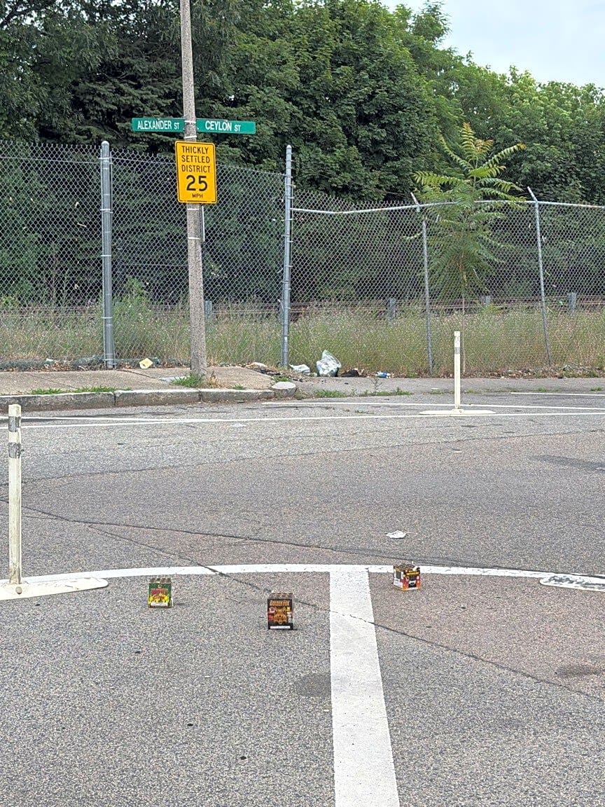 Image submitted with report