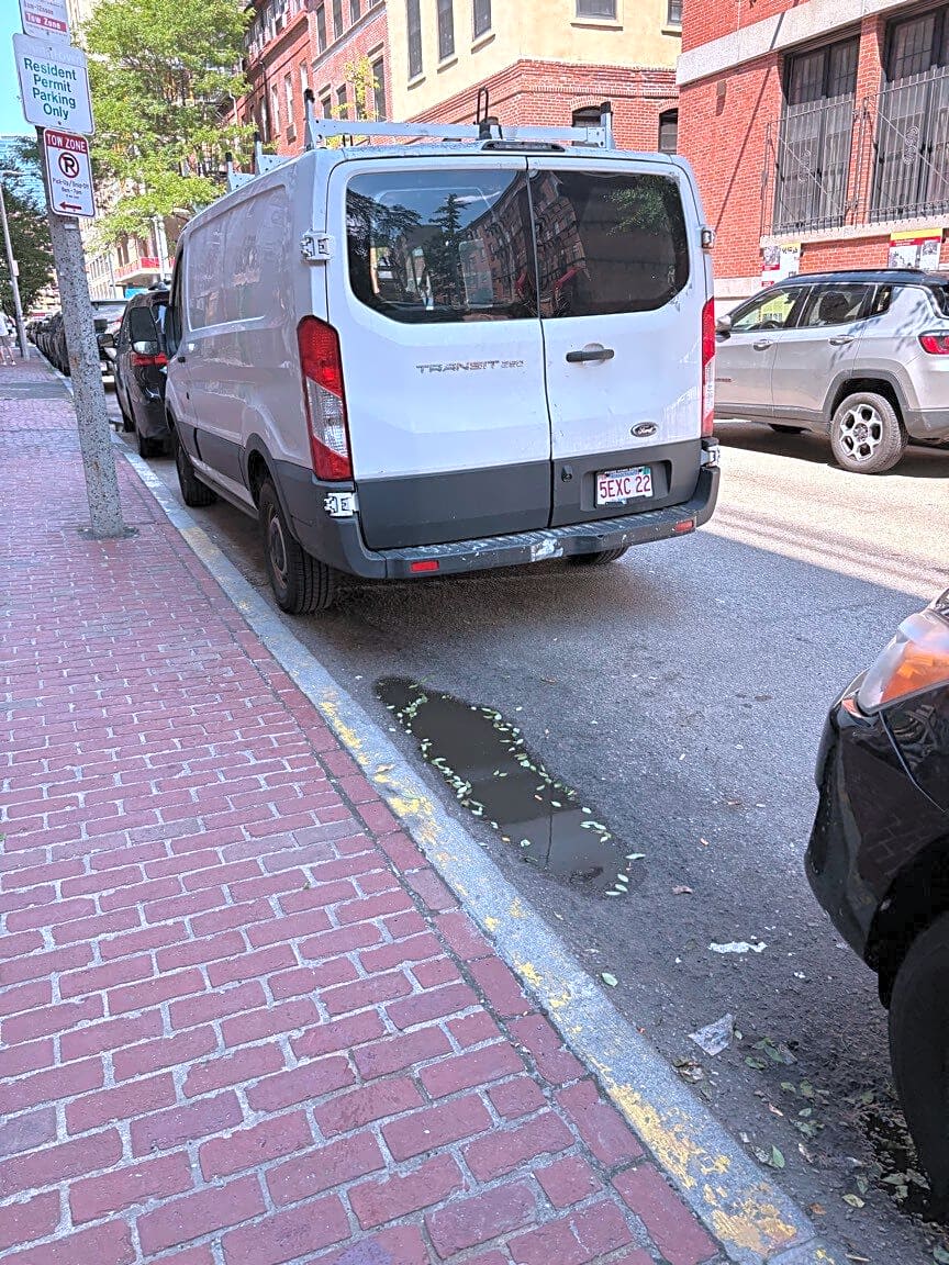 Image submitted with report