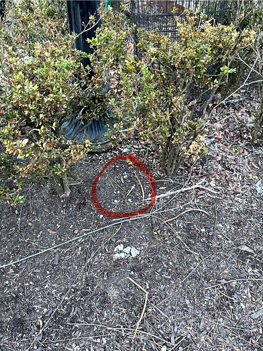 Image submitted with report