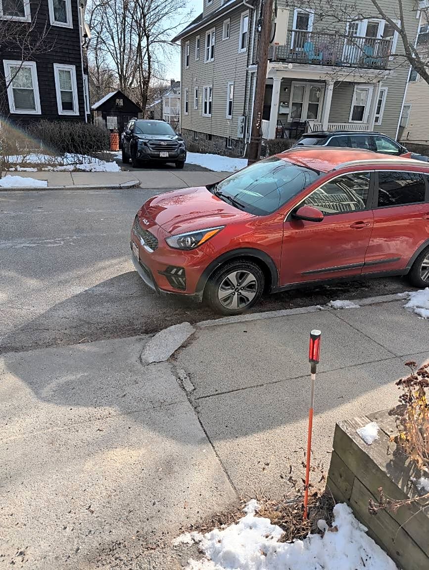 Image submitted with report