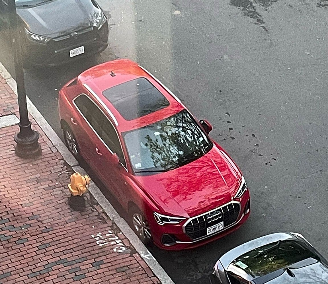 Image submitted with report