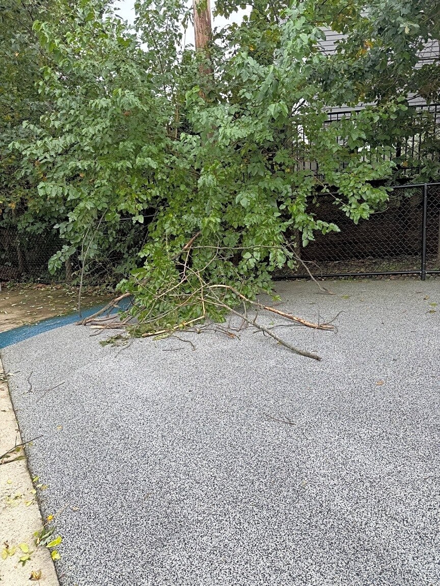 Image submitted with report