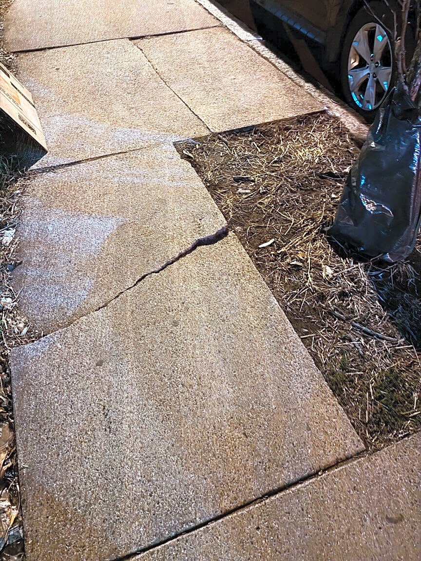 Image submitted with report