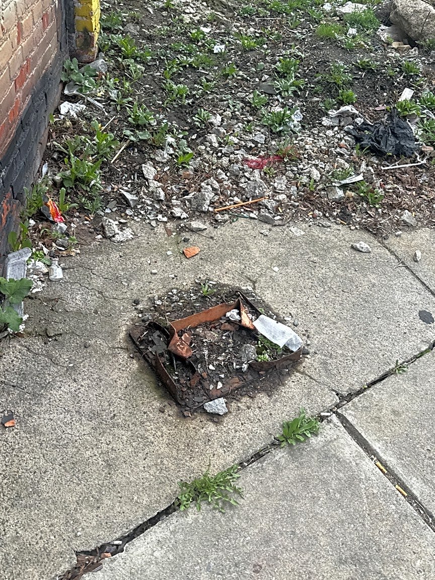 Image submitted with report