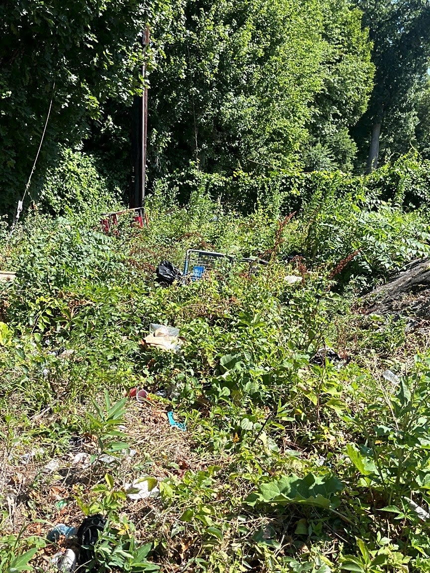 Image submitted with report