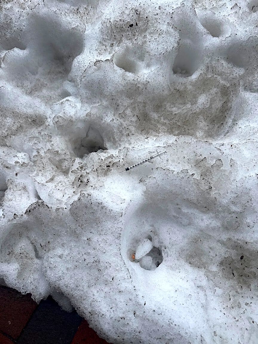 Image submitted with report