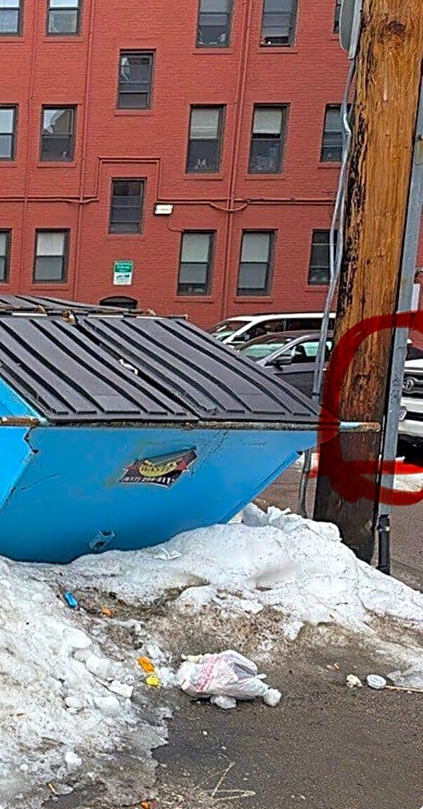 Image submitted with report