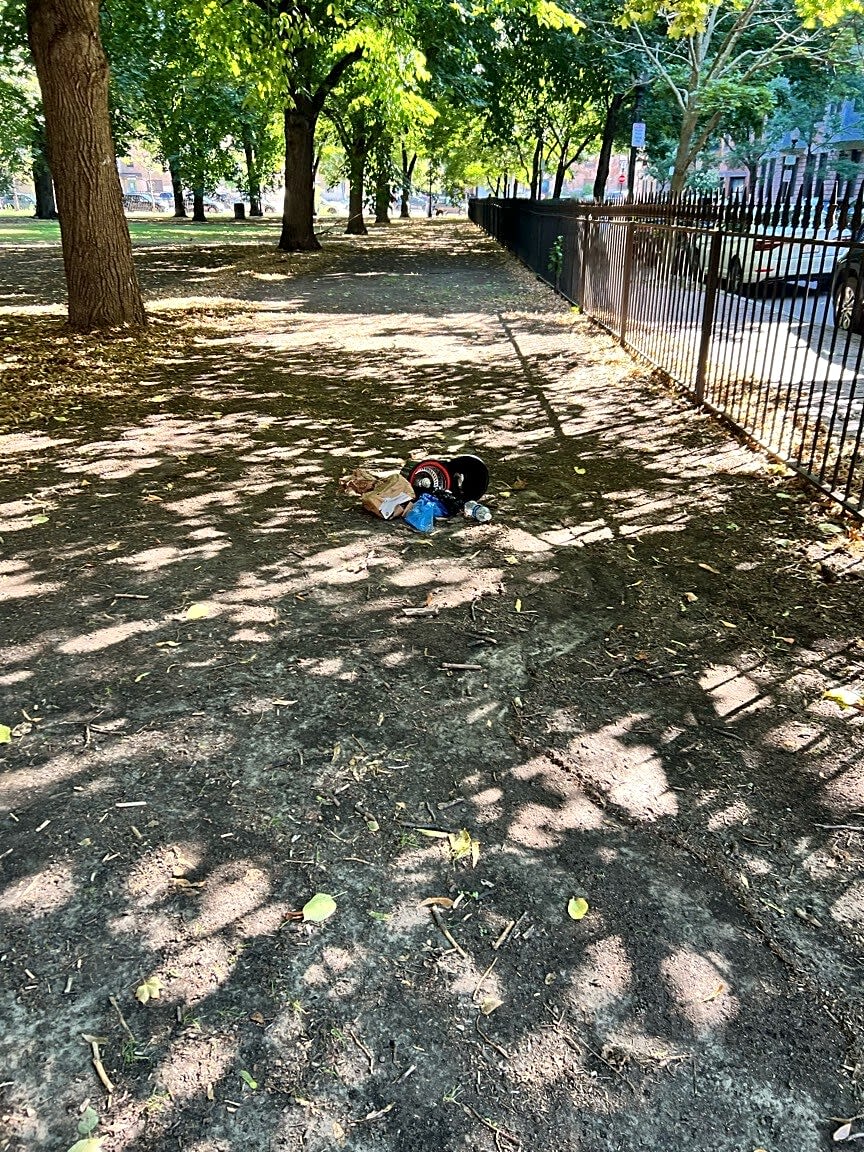 Image submitted with report