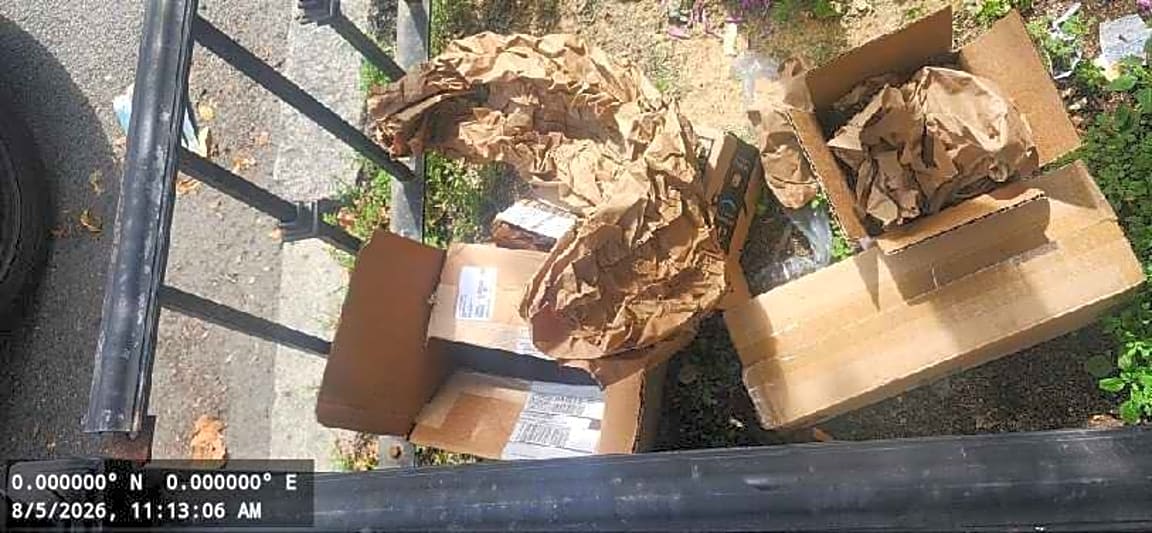 Image submitted with report