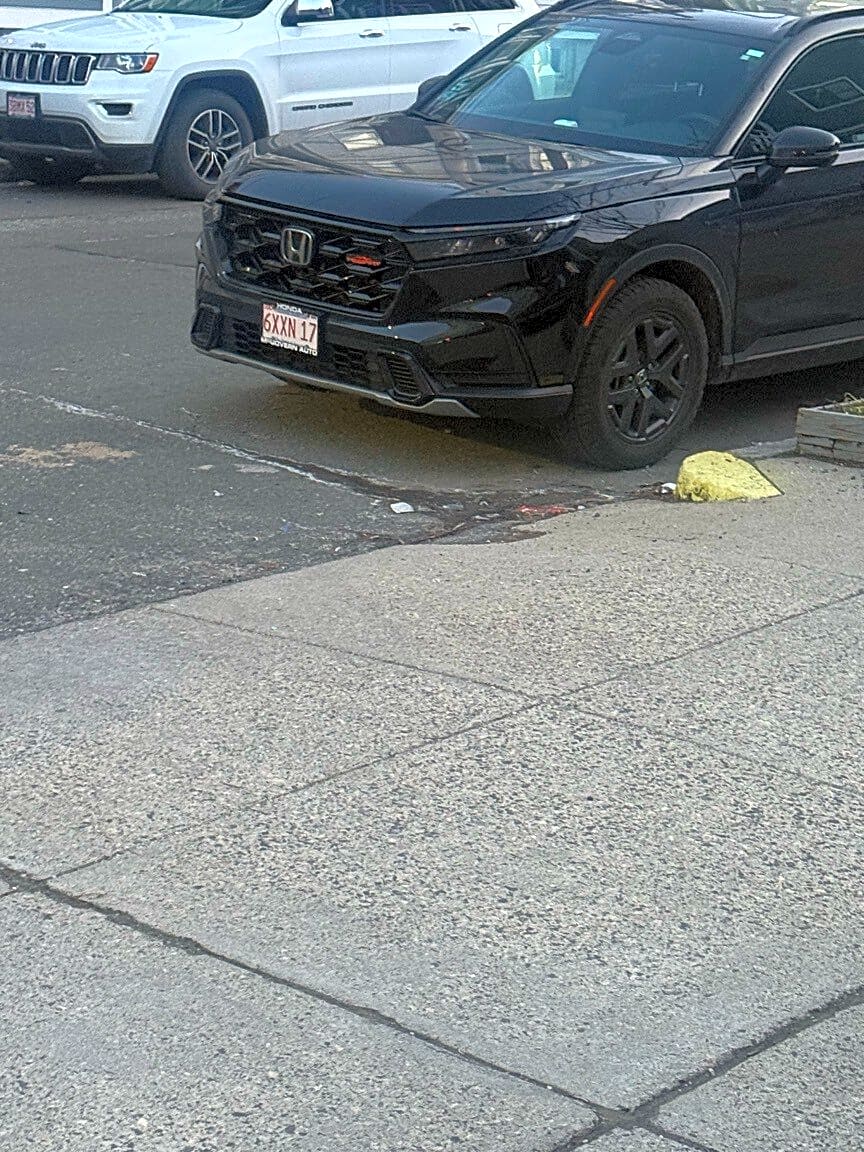 Image submitted with report