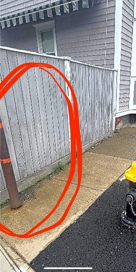 Image submitted with report