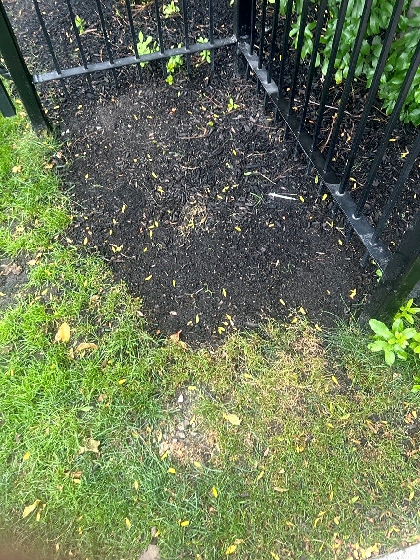 Image submitted with report