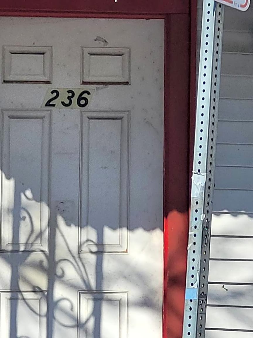 Image submitted with report