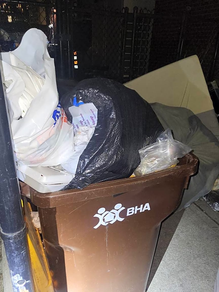 Image submitted with report