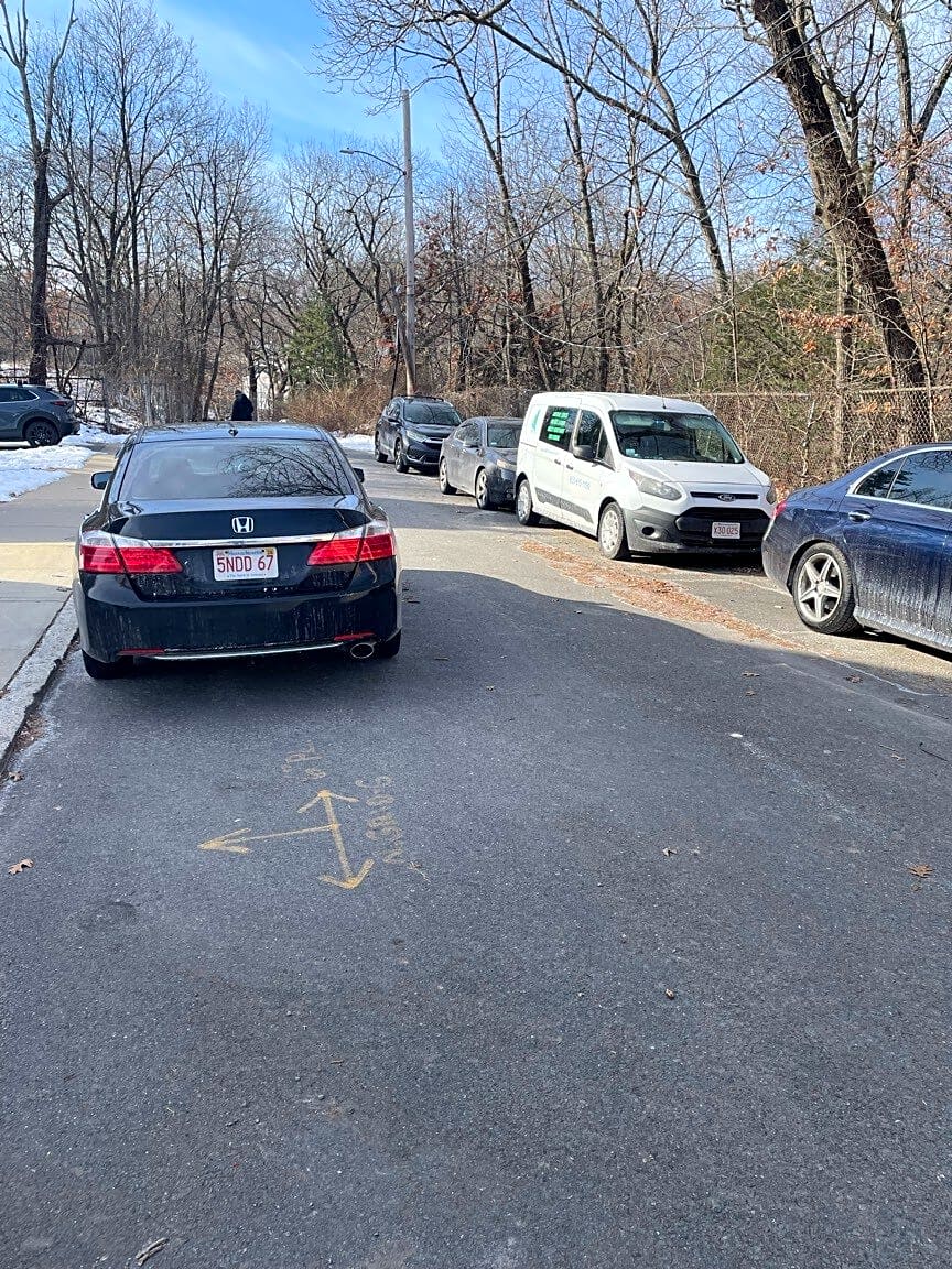 Image submitted with report