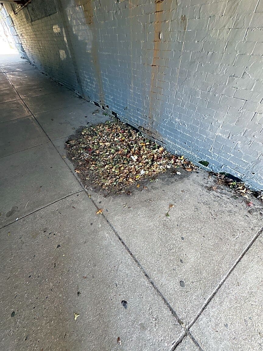 Image submitted with report