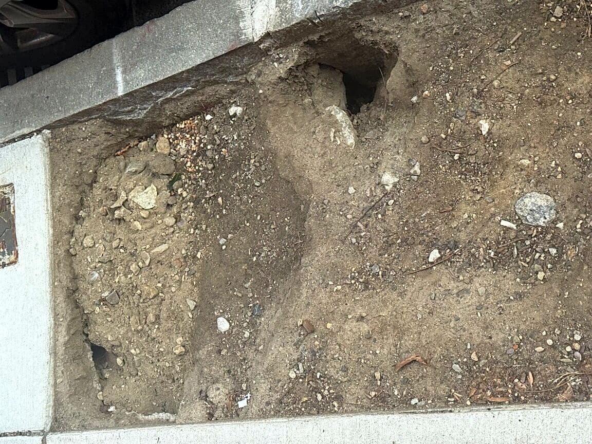 Image submitted with report