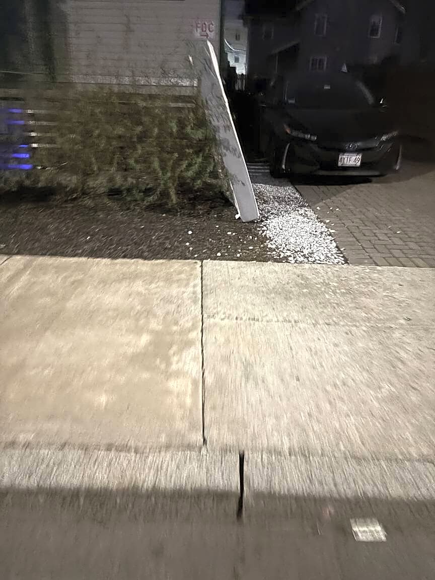 Image submitted with report