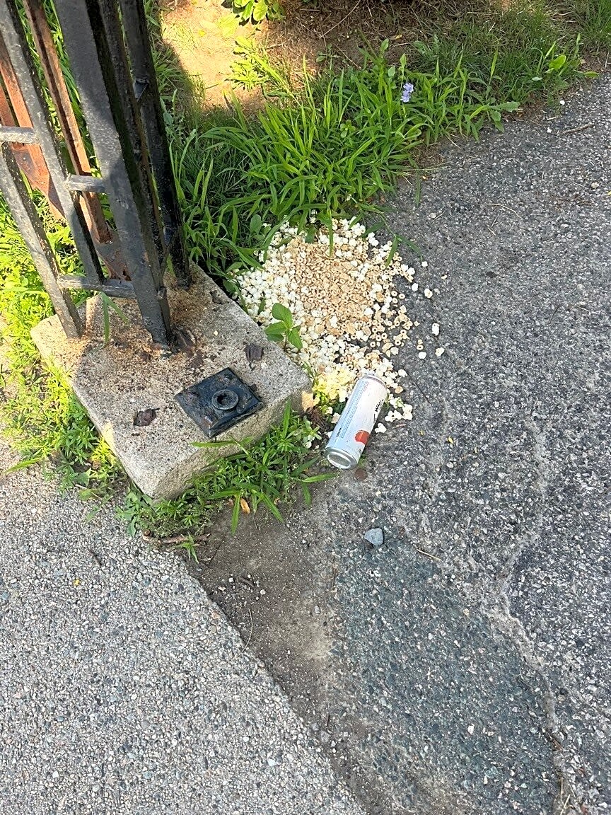 Image submitted with report