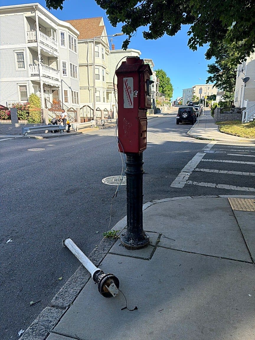 Image submitted with report