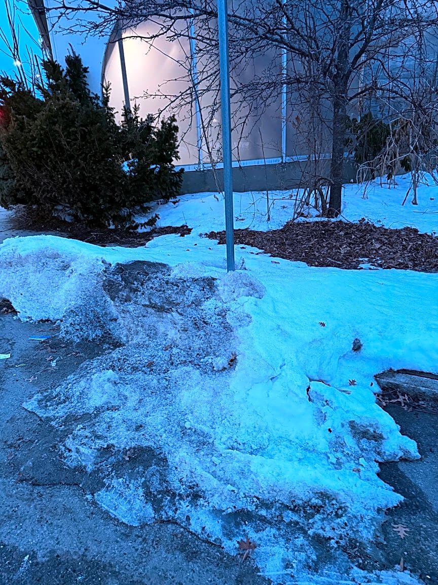 Image submitted with report