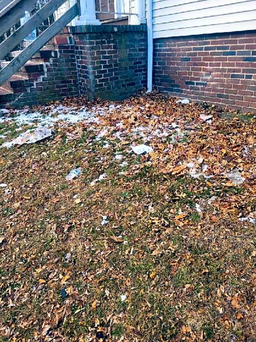 Image submitted with report