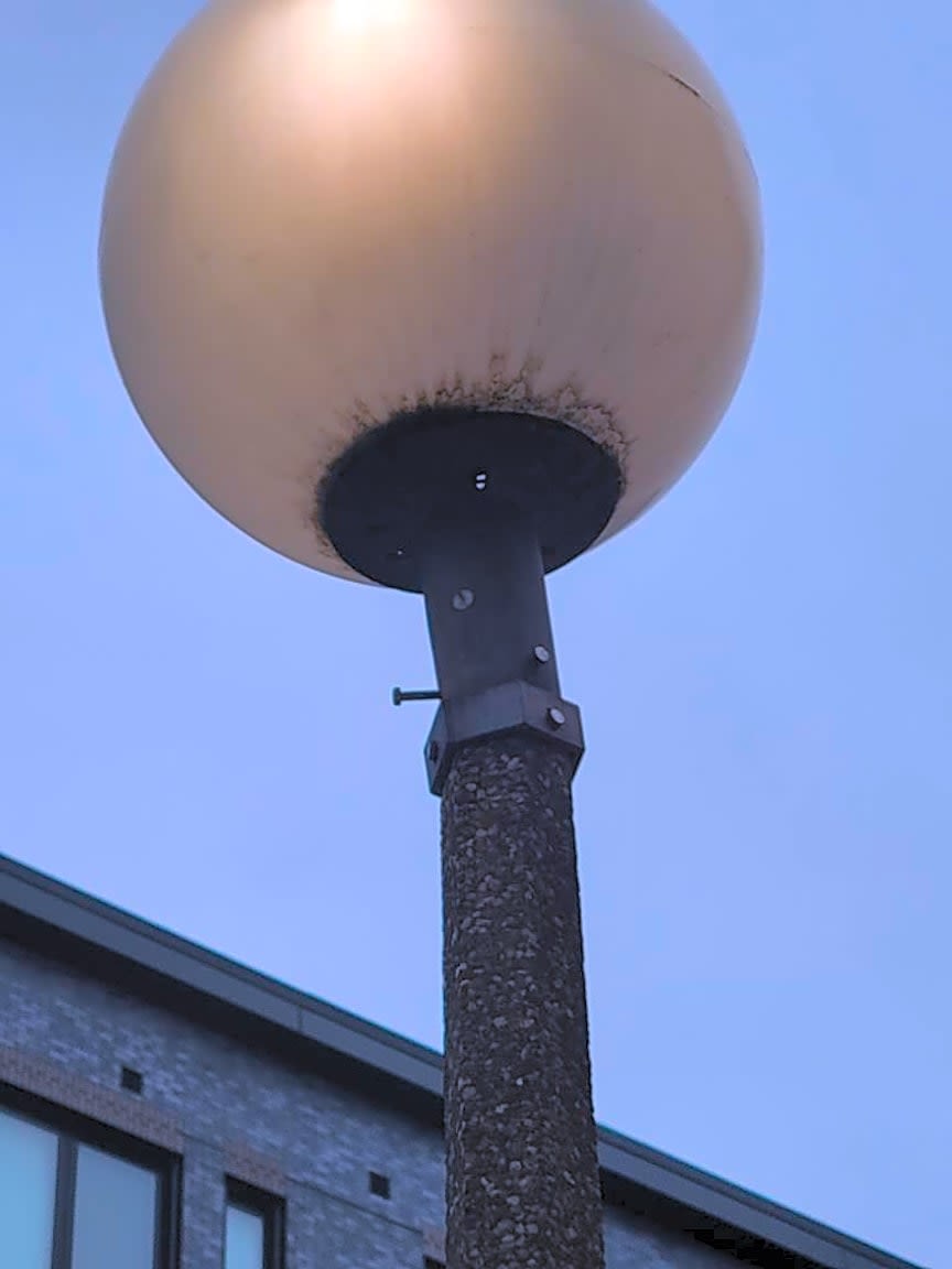 Image submitted with report