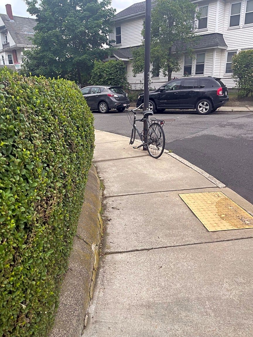 Image submitted with report