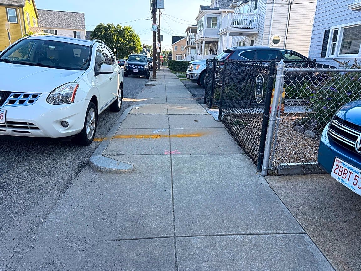 Image submitted with report