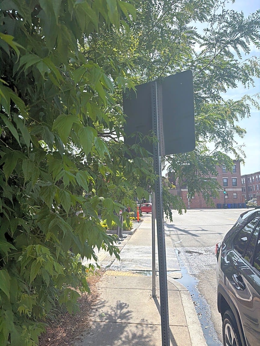 Image submitted with report