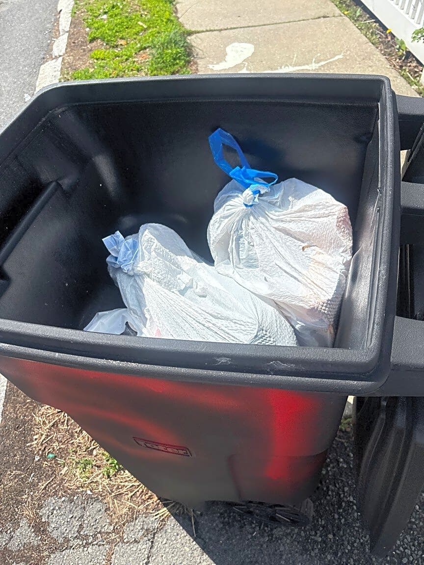 Image submitted with report