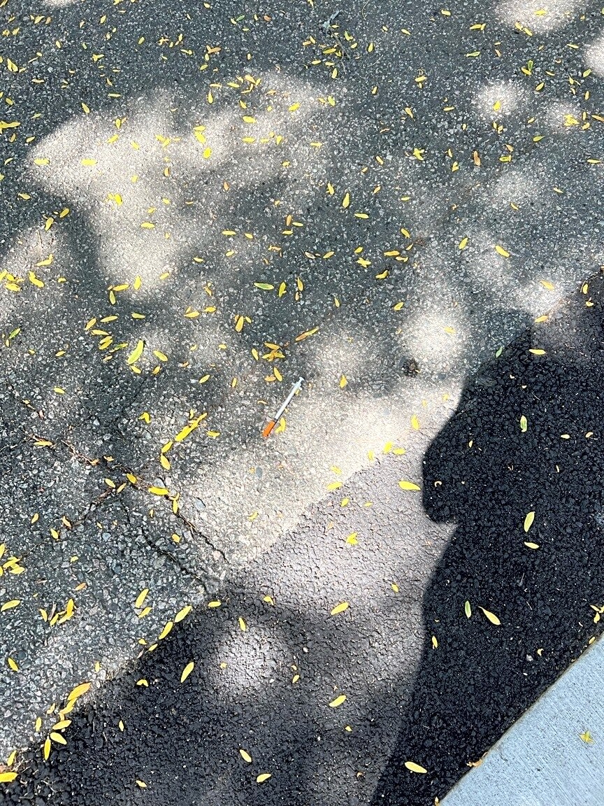 Image submitted with report