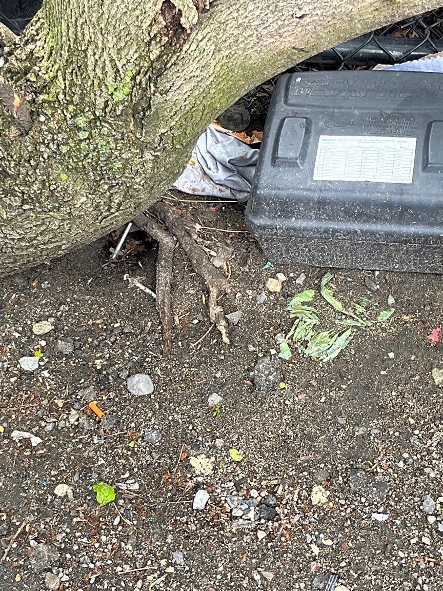 Image submitted with report