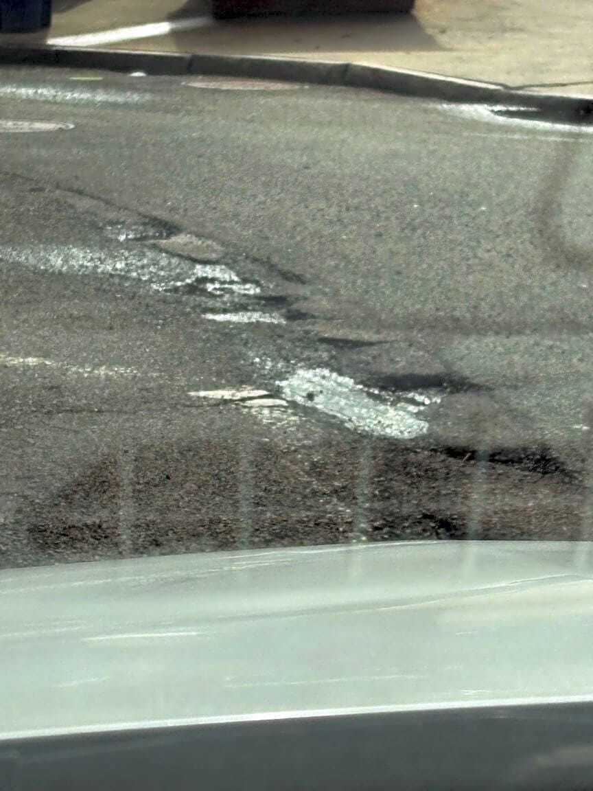 Image submitted with report