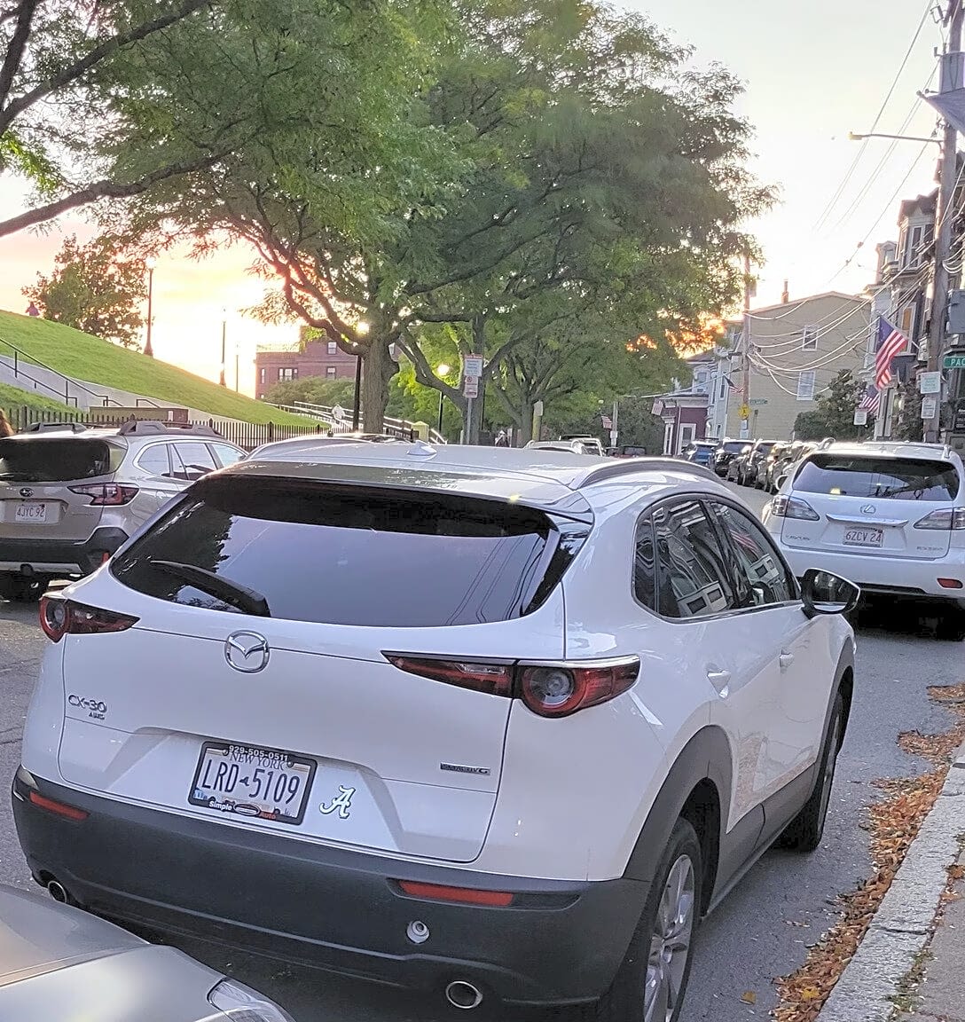 Image submitted with report