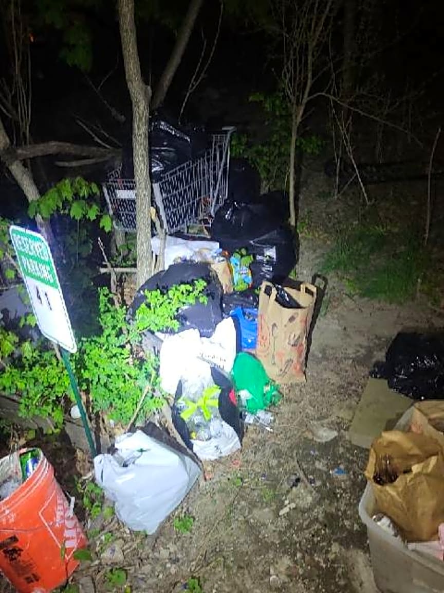 Image submitted with report