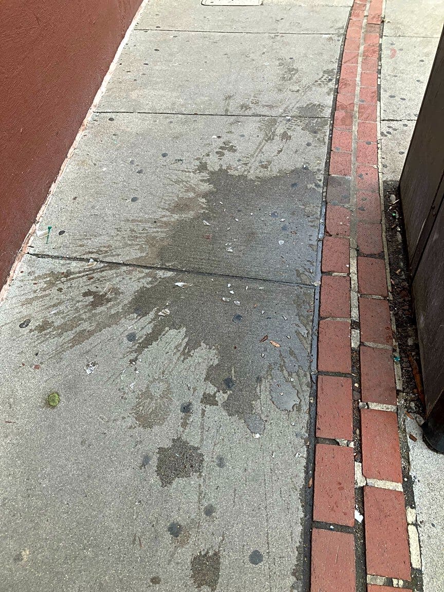 Image submitted with report