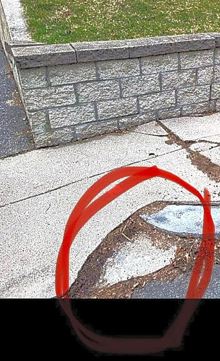 Image submitted with report