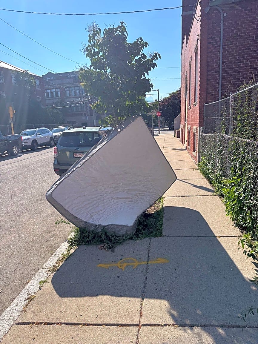 Image submitted with report