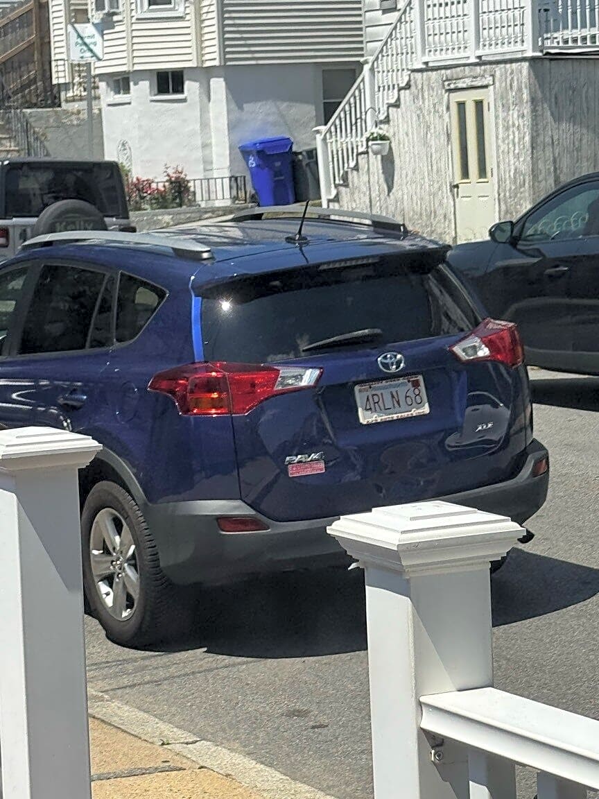 Image submitted with report